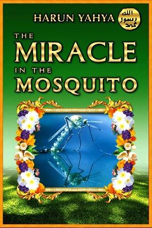 The Miracle in the Mosquito